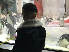 -大连圣亚海洋世界