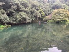 -龙井村