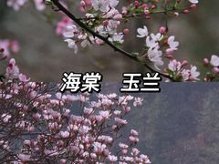 -黑河国家森林公园