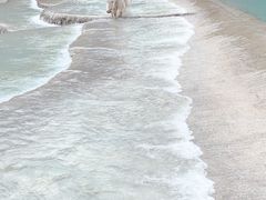 -玉龙雪山游客服务中心