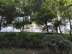 -知物癖(牛王庙店)