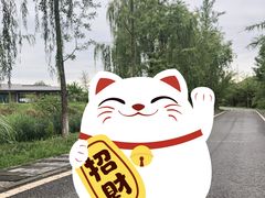 -白鹭湾湿地公园