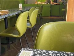 -油梨树AVOCADO TREE(顺义新国展店)