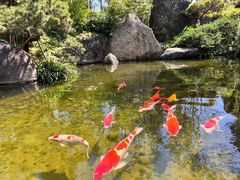 -湖南别院·美学庭院餐厅(惠阳店)