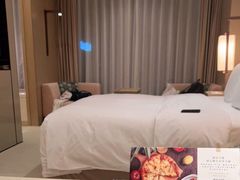 -北京康莱德酒店