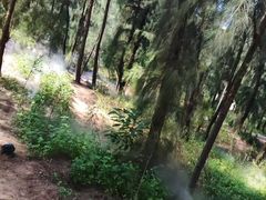 -大京沙滩