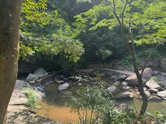 -百杖潭景区