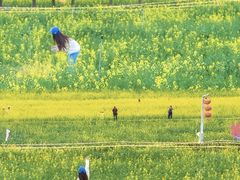 -光明小镇欢乐田园