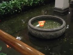 -旺顺阁鱼头泡饼(小红门店)