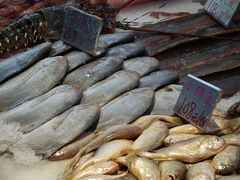 -温岭人家(红花北路店)