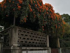 -南丫岛