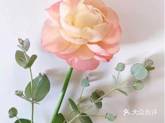 看完她的水彩画，整个人的心情都好了，满满的治愈  ️