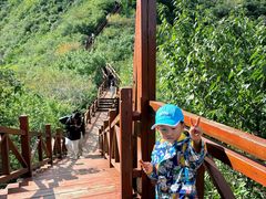 -大岭沟猕猴桃谷风景区