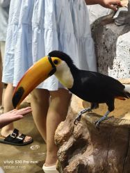 -Zoolung Zoolung动物主题公园(海信广场店)