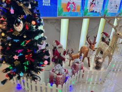 -苏州卫康美容医院