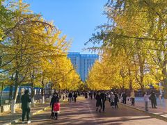 -辽宁大学(崇山校区)