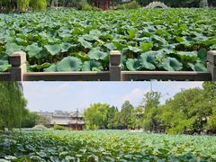 -莲池书院博物馆