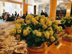 -上海星河湾酒店(闵行店)