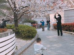 -上海体育场(地铁站)