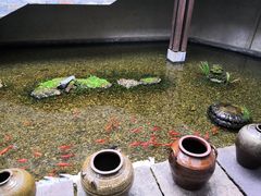 -几荷·恰似故人来(秀水广场店)