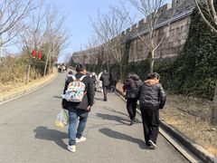 -黄贤森林公园
