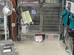 -美联众合动物医院·24h转诊中心