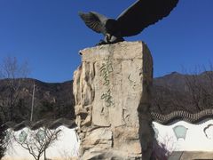-北京鹫峰国家森林公园