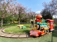 -朝阳公园游乐园