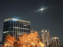 -Terrace 8 八号露台(波特曼丽思卡尔顿店)