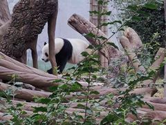 -广州动物园