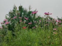 -亦庄创意生活广场