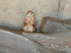 -北戴河集发农业梦想王国