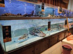 -虾饺妹·酒家(海珠广场店)