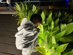 -深圳湾木棉花酒店