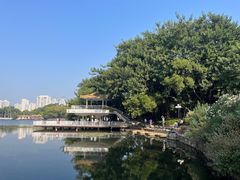 -荔枝公园(福田区)