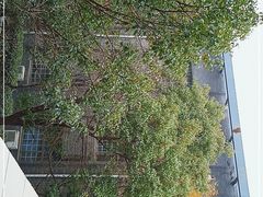 -江苏模特艺术学校