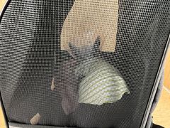 -美联众合动物医院·24h京西诊疗中心