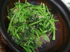 -熠盛粤味·顺德桑拿鸡(永康路店)