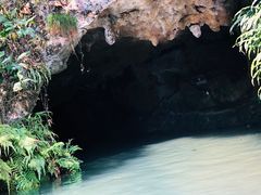 -灵栖洞天