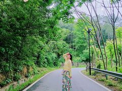 -青龙山国家森林公园