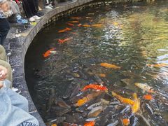 -柳侯公园