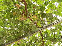 -野三坡清泉山风景区