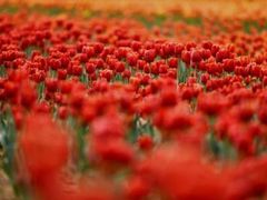 -泰山天颐湖旅游度假区