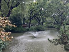 -上海醉白池公园