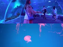 -前王院•巧克力海鲜市集餐厅(万平口店)