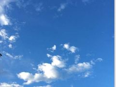 -尼甘布海鲜市场