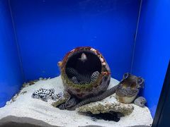 -海合安青岛极地海洋公园