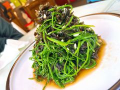 -阿西娅食府(中关村店)