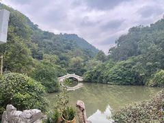 -黔灵山公园