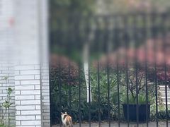 -求雨山文化公园